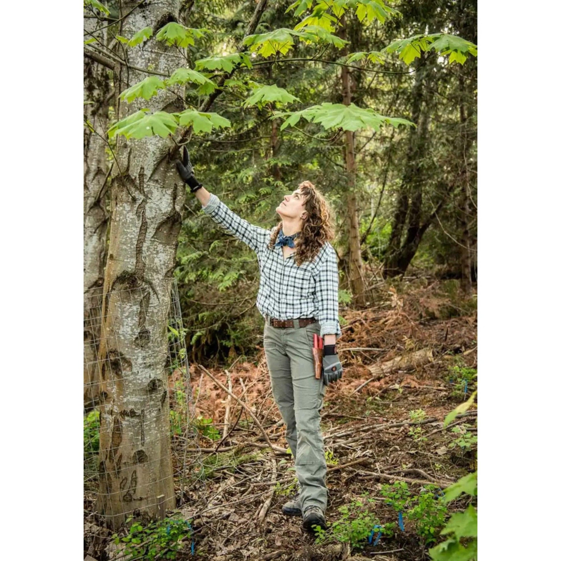 Dovetail Day Construct Stretch Ripstop Pants - Kumpfy Shoes