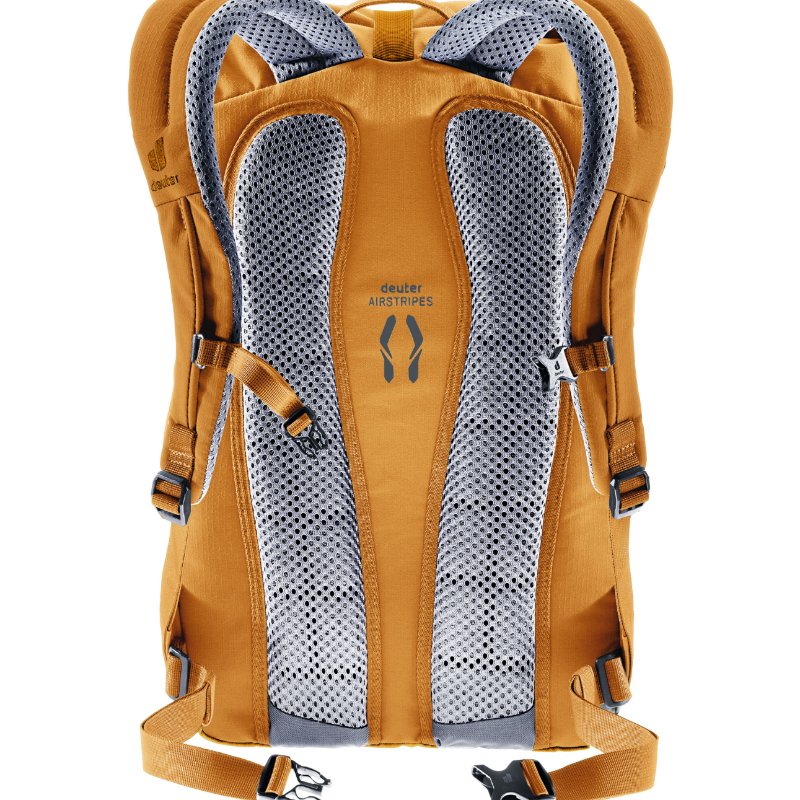 DeuterStepout22CaramelClayBackpackBackView