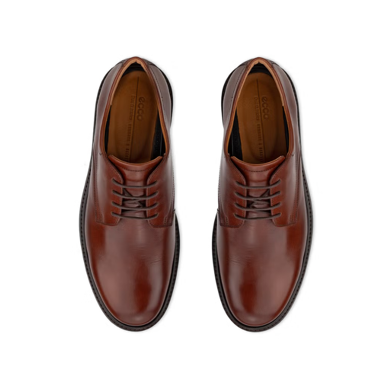 EccoMetroLondonDerbyPairFrontTopView