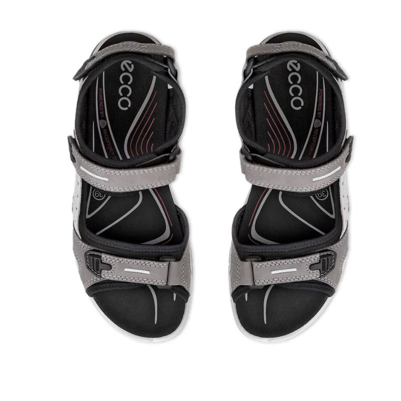 EccoOffroadTitaniumPairFrontTopView