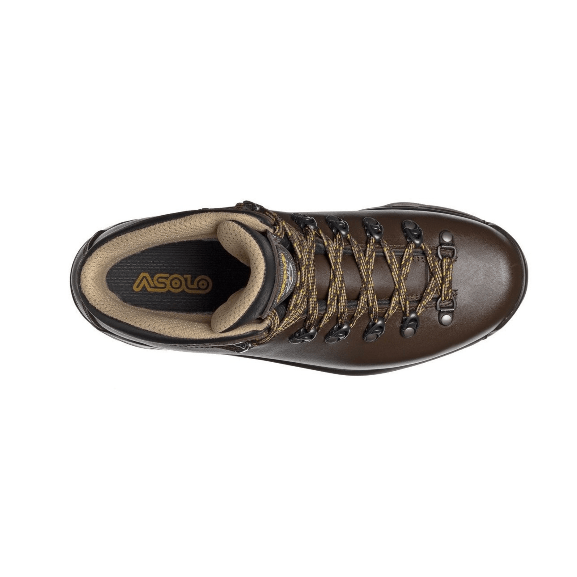 Asolo TPS 520 Evo GV Men Brown - Kumpfy Shoes
