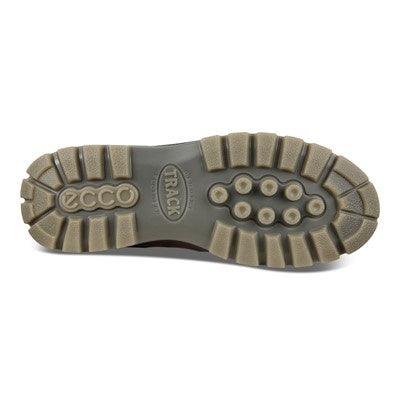 Ecco Track 25 GTX Bison - Kumpfy Shoes